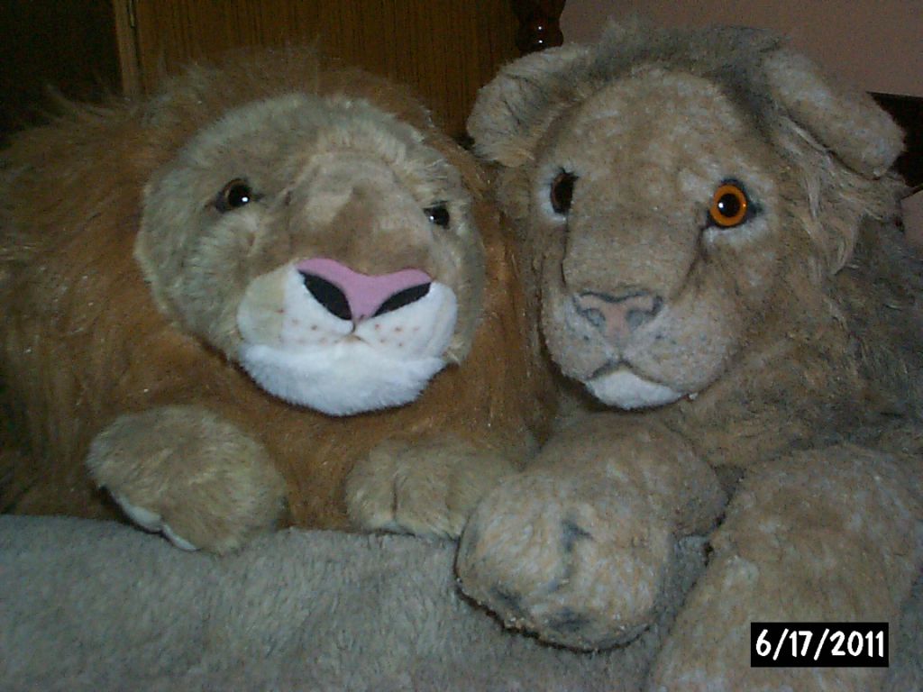 Thoralf and Rory
Keywords: soft toy; lion