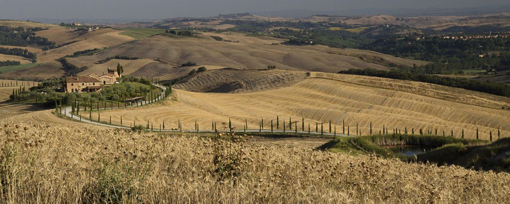 Typical Tuscan Landscape
