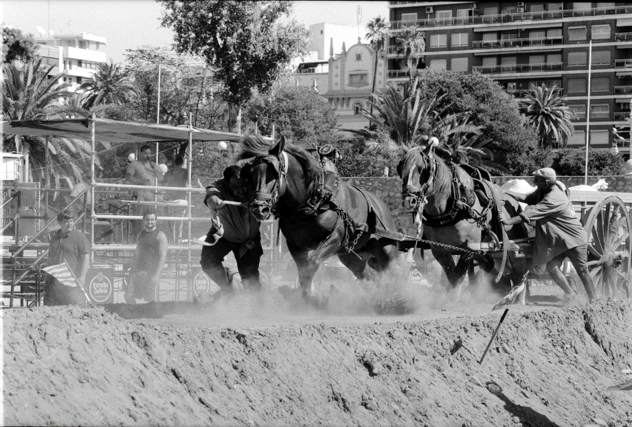 Contax G1 + Carl Zeiss 90mm
Valencia, 2015 09 20 "Tiro y arrastre". Pull and drag competition.
