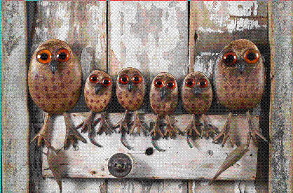 owls.GIF